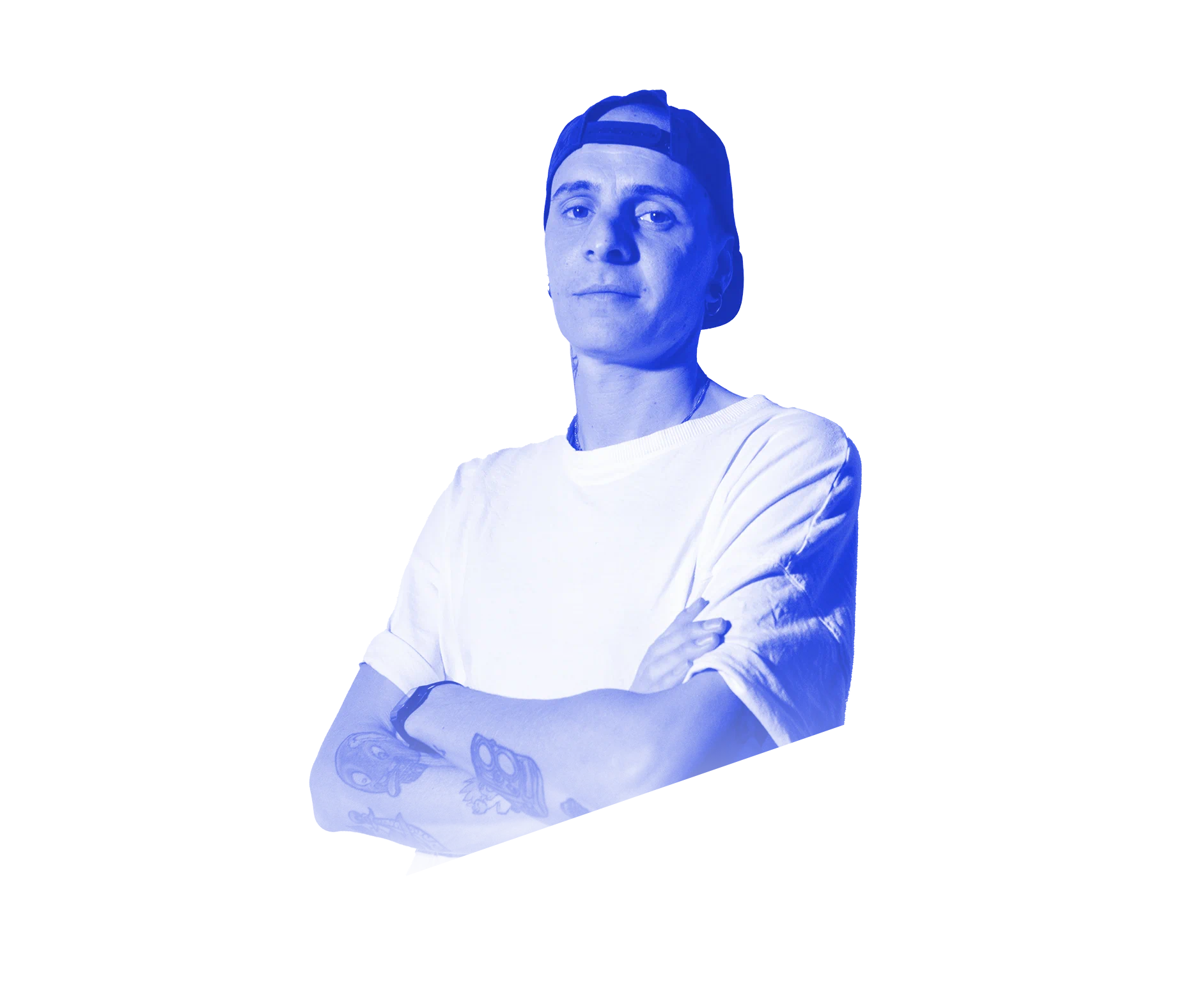 Panda_SinappsWebAgency